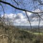 The Hampshire Hangers: A Circular Walk In Hampshire From Petersfield Station, thumbnail 4 of 9