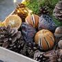 Natural Christmas Floristry Display Box, thumbnail 7 of 11