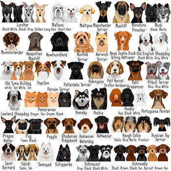 Dog Breed ID Tag Personalised Realistic Illustrations, 7 of 12