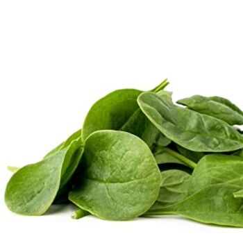 Vegetable Plants Spinach 'Renegade' Plant Pack, 10 of 11