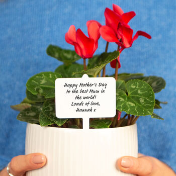 Personalised Message Mother's Day Plant Marker, 2 of 6