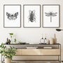 Black And White Insect Illustrations Prints, thumbnail 1 of 6