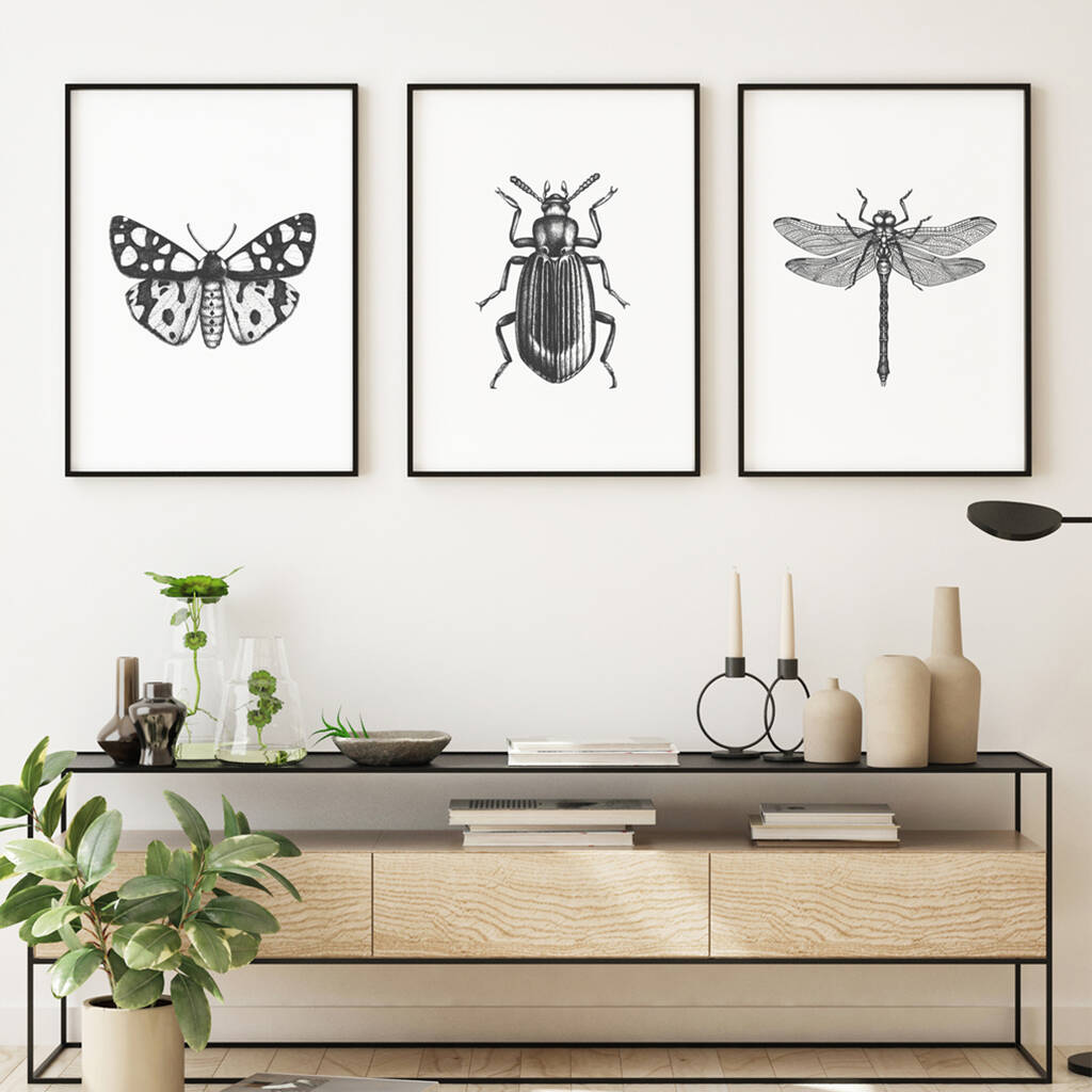 Black And White Insect Illustrations Prints, 1 of 6