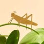 Bugs Plant Decorations Set Of Three Damselfly, Grasshopper, Caterpillar, thumbnail 3 of 4