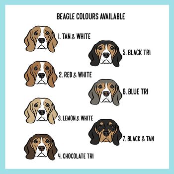 Beagle Portrait T Shirt, 4 of 6