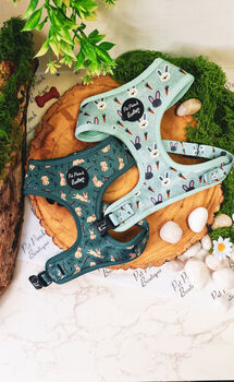 Wild Meadow Bunny Dog Harness With Optional Set, 9 of 12