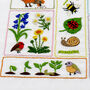 Spring Splendour Hand Embroidery Kit, thumbnail 11 of 12