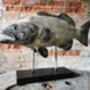 Sale! Fish Sculpture On Metal Stand, thumbnail 1 of 5