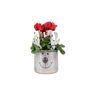 Metal Reindeer Planter With Red Or White Cyclamen, thumbnail 2 of 3