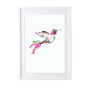 Pink Hummingbird Wildlife Botanical Art Print, thumbnail 1 of 3