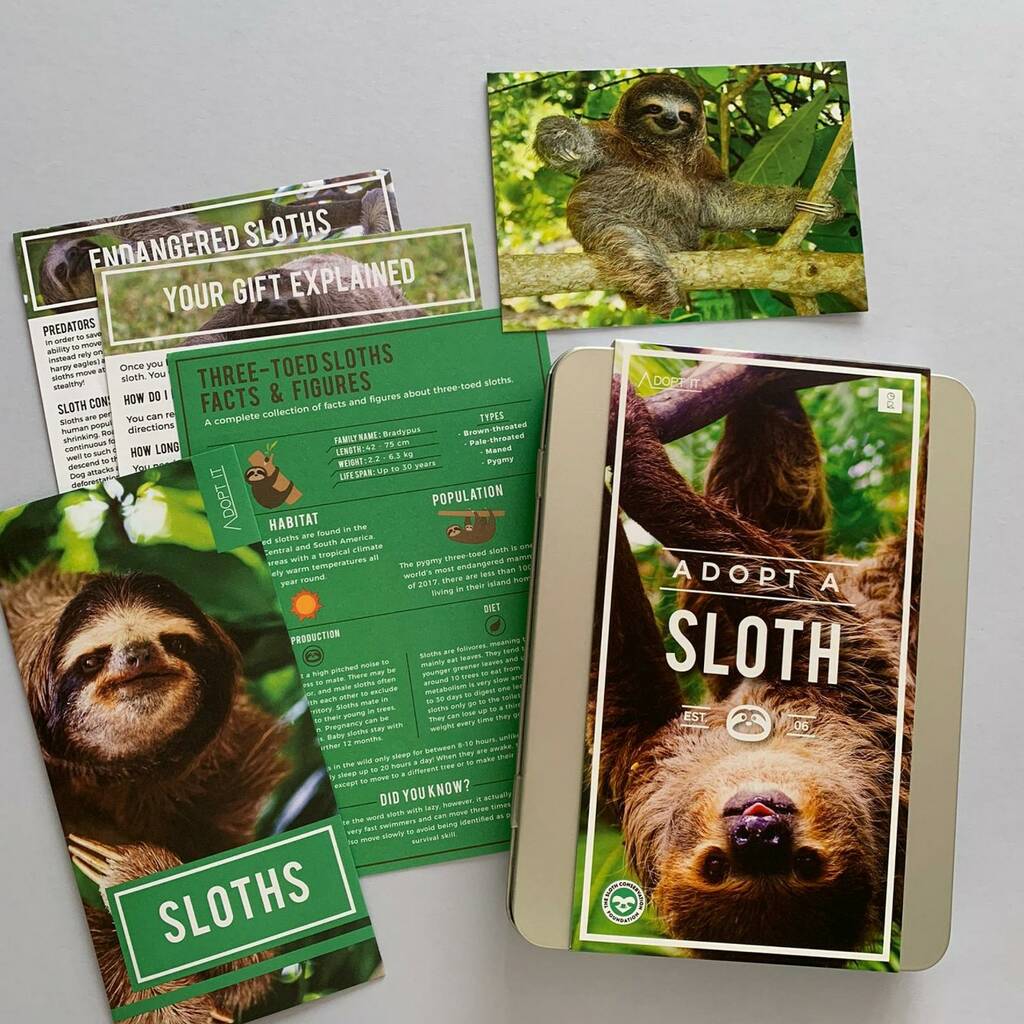Adopt A Sloth Gift Tin, 1 of 4