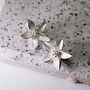 Matt Finish Flower Shaped Stud Earrings, thumbnail 1 of 3