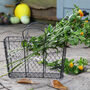 Farmhouse Chickenwire Garden Flower Basket, thumbnail 1 of 9