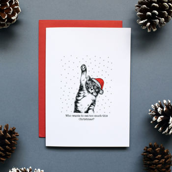 The Cat Collection Christmas Card Pack, 2 of 5