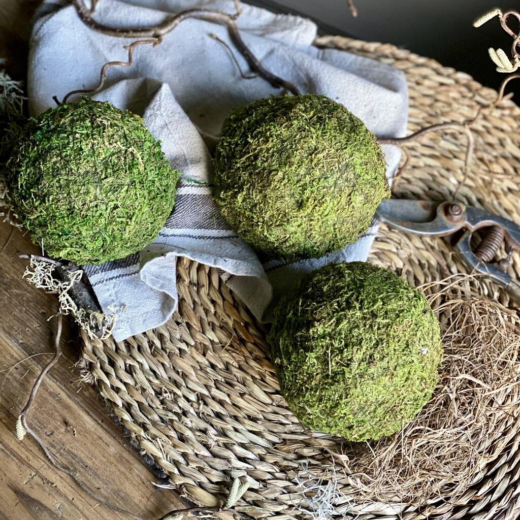 Dried Moss Spheres || Balls, 1 of 9