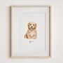 Christmas Gift For Pet Lovers – Personalised Pet Portrait Hand Drawn From Photo, Dog, Cat Or Horse Illustration, thumbnail 3 of 11