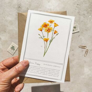 Set Of Six Pink, Orange And Yellow Floral Notecards And Envelopes, 9 of 11