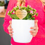 Personalised Gold 'Thank You Teacher' Plant Marker, thumbnail 3 of 7