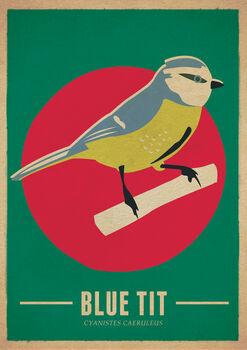Blue Tit Birds Retro Style Poster Print, 2 of 2