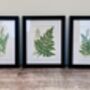 Isaac Jacobs Set Of Three Black Photo Frames, thumbnail 2 of 4