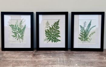 Isaac Jacobs Set Of Three Black Photo Frames, 2 of 4