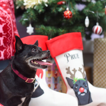 Personalised Reindeer Dog Xmas Stocking, 8 of 11