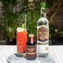 Sacred Vodka And Bloody Bens Bloody Mary Pack, thumbnail 1 of 2