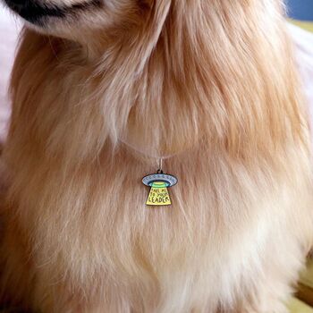 Dog Tag, Take Me To Your Leader, Enamel Hanger, 3 of 4