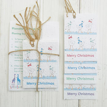 Festive Geese Seed Gift Tags, 2 of 2