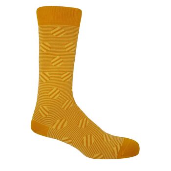 Polka Stripe Yellow And Ribbon Stripe Pine Men's Socks, 3 of 5