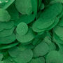 Dark Green Wedding Confetti | Biodegradable Confetti, thumbnail 4 of 6