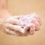 Naked Unscented Solid Shower Gel, thumbnail 5 of 6