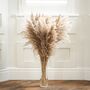 Artificial Large Pampas Flowers 12pc Set, thumbnail 1 of 5