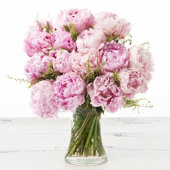 Pink Peonies, 3 of 3
