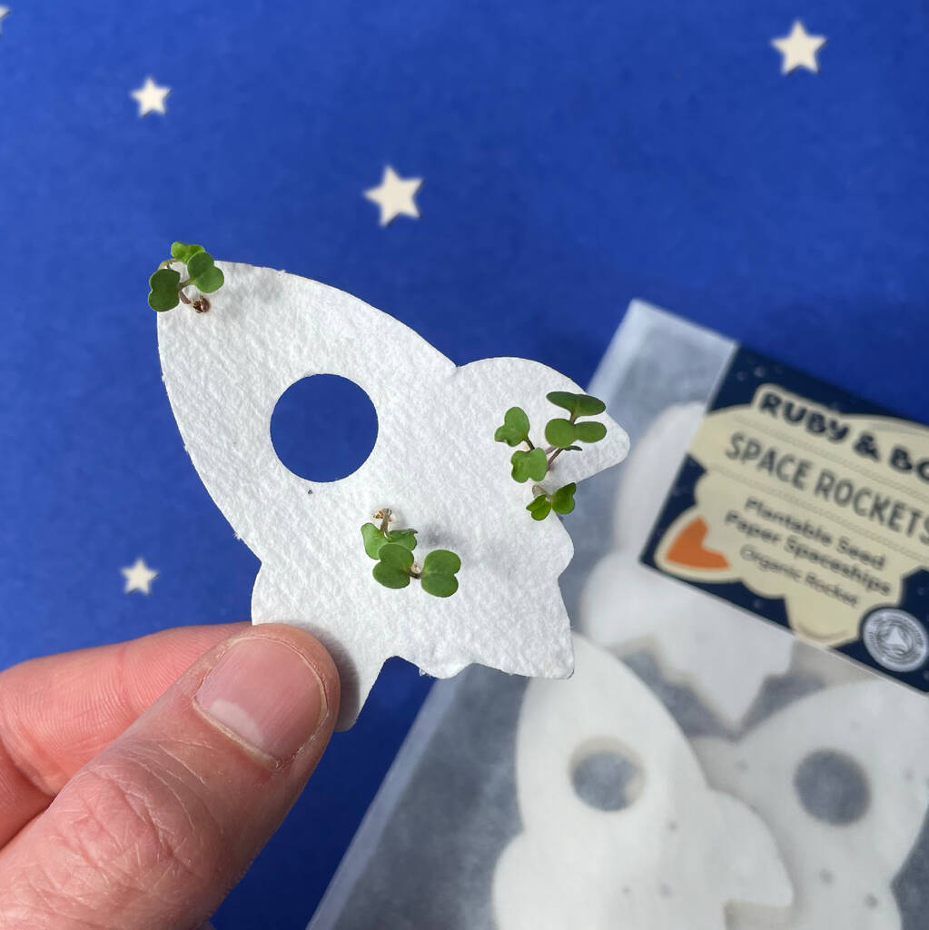 'Space Rockets' Plantable Seed Paper Spaceships, 1 of 12