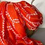 Rope And Anchor Print Scarf In Sunset Orange, thumbnail 3 of 4