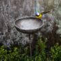 Recycled Metal Small Blue Tit Bird Feeder, thumbnail 1 of 3
