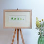Brussels Sprouts Botanical Watercolour Illustration, thumbnail 2 of 4
