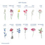 Personalised Family Birth Flowers Wreath Print, thumbnail 4 of 4