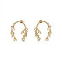 Lush Gold Plated Pearl Small Earrings, thumbnail 5 of 6