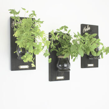 Wall Hanging Herb Pots, 5 of 7