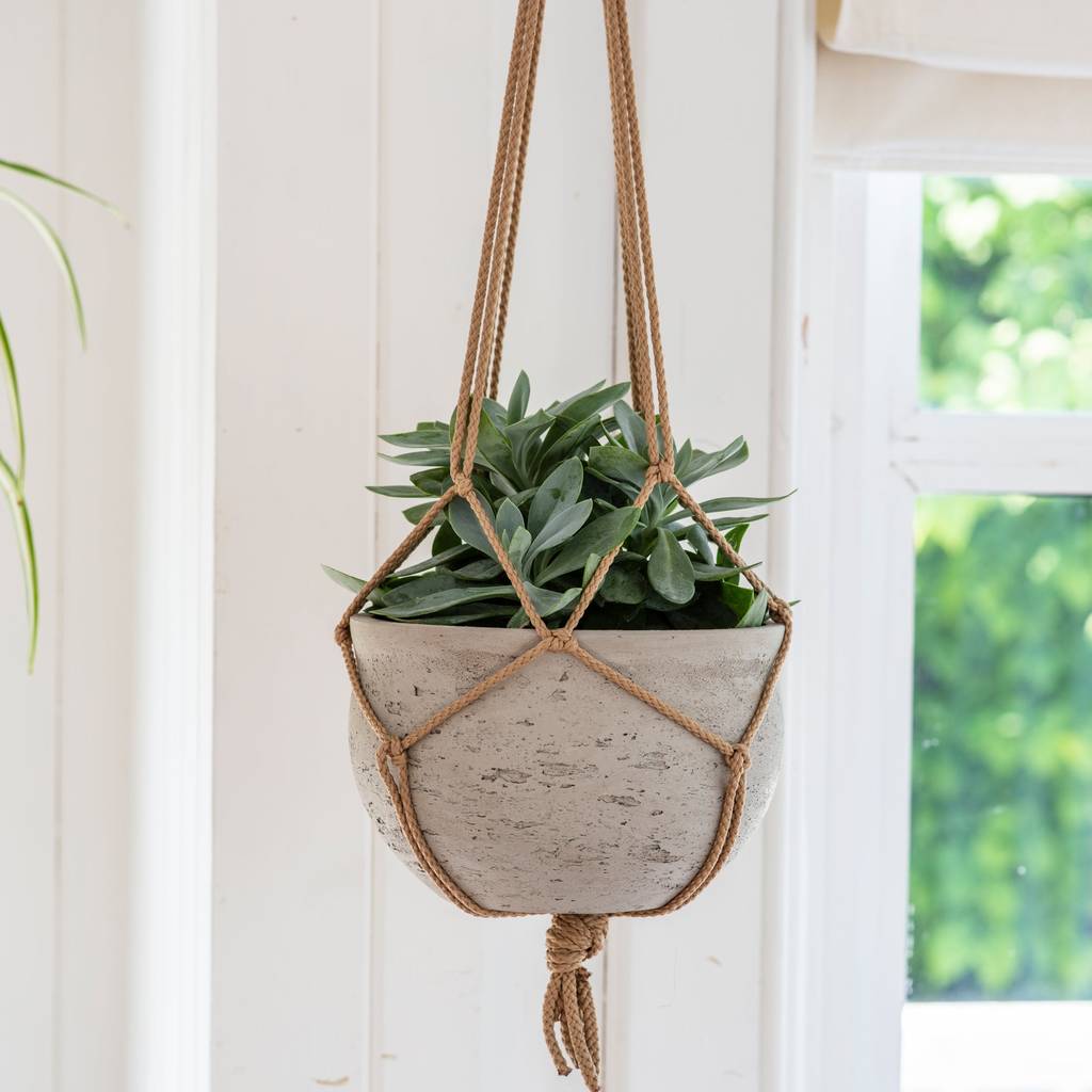 hanging cement planter by idyll home