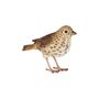 Lifelike Song Thrush Bird Ornament Indoor Outdoor Gift, thumbnail 5 of 6
