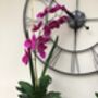 Large Cerise Pink Artificial Silk Orchid Arrangement, thumbnail 3 of 7