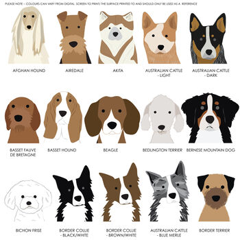 No.One Dog Dad Personalised Father's Day Socks, 3 of 10