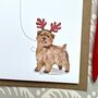 Norfolk Terrier Christmas Card, thumbnail 2 of 2