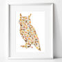 O Is For Owl Print, thumbnail 1 of 4