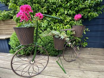 Steel Bike Planter, 5 of 12