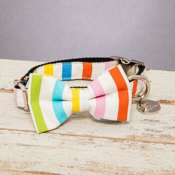 Thurlestone Rainbow Striped Bow Tie And Collar, 2 of 6