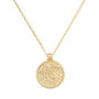 Chunky 14 K Gold Plated Leo Coin Medallion Necklace, thumbnail 2 of 9